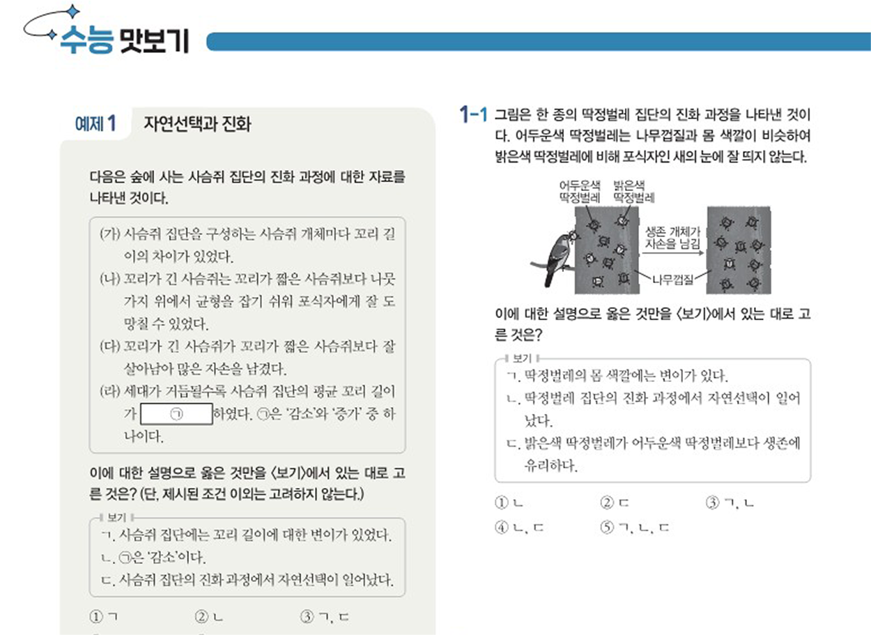 수능 맛보기 이미지
